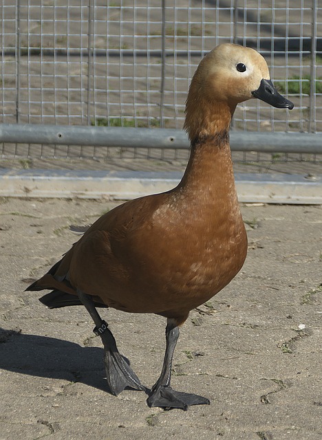 在谈到这场