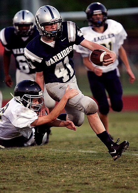 春季的开始 春季的开始