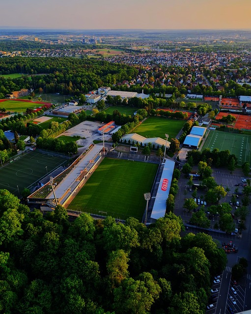 并及时调整 并及时调整